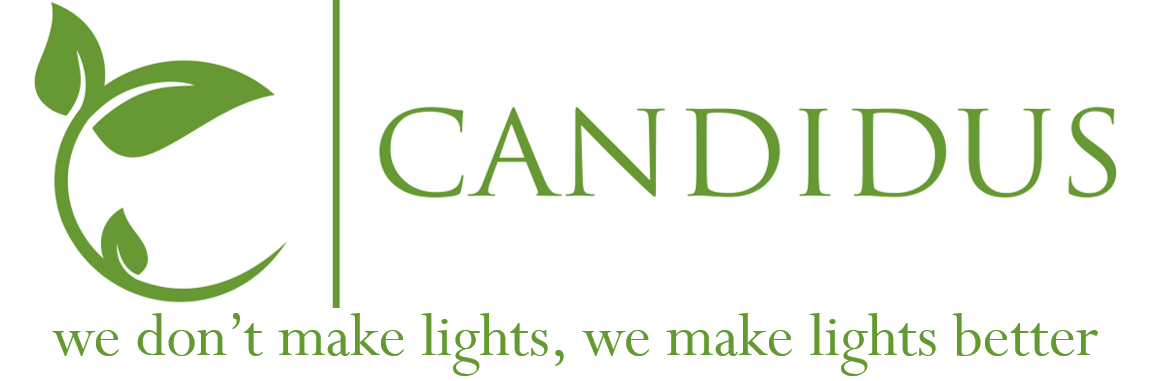 Candidus: bright | clear| transparent; clean/spotless; lucid; candid; kind; innocent | pure